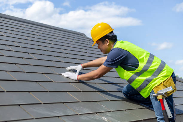 Roof Gutter Cleaning in Fulton, IL