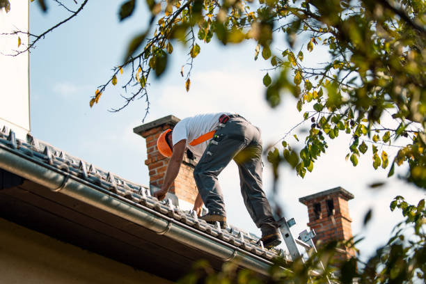 Gutter Installation and Roofing in Fulton, IL