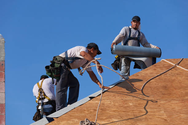 Roof Gutter Cleaning in Fulton, IL